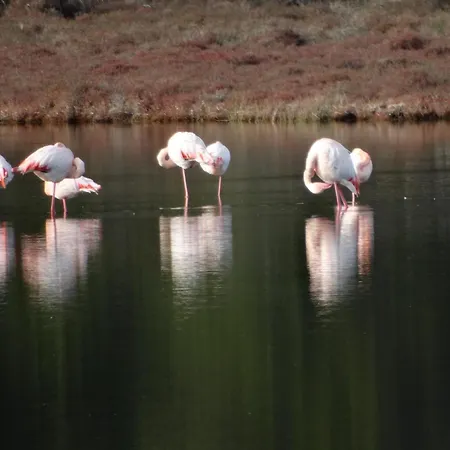 Maison Du Midi, 2 De Charme Appartamento Ginestas