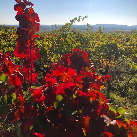Maison Du Midi, 2 De Charme